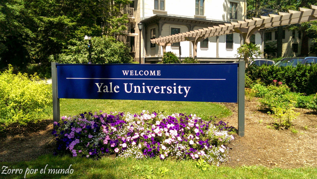 Universidad de Yale