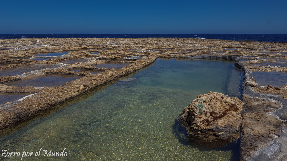 Salar en Gozo