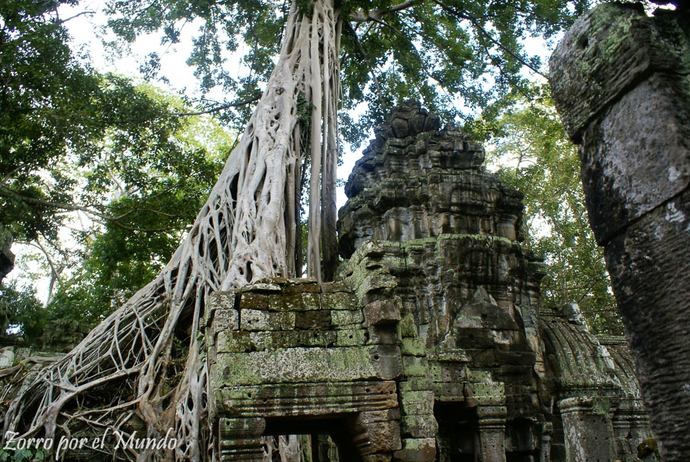 Ta Prom Angkor