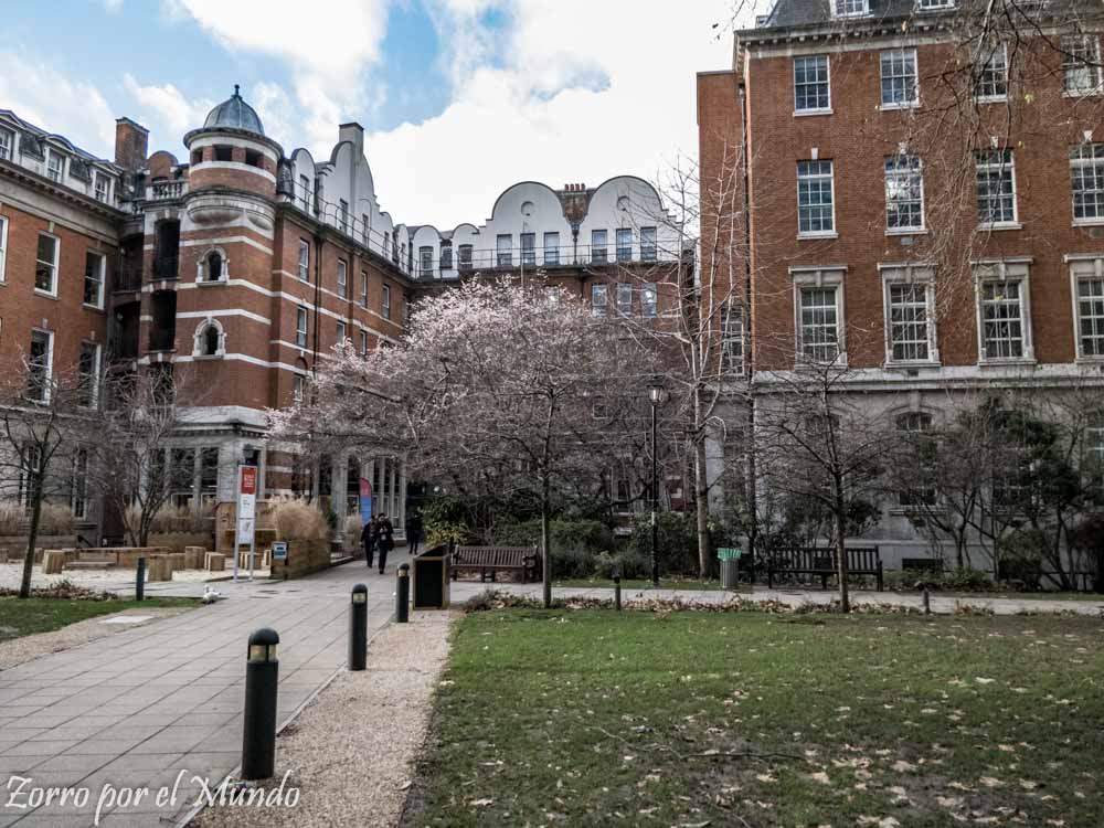 King's College London