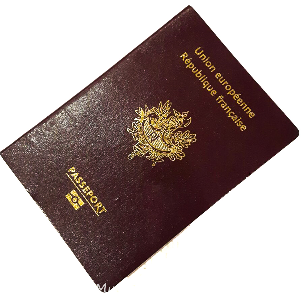Pasaporte francés